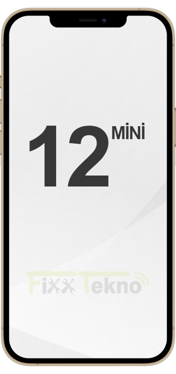 iPhone 12 Mini