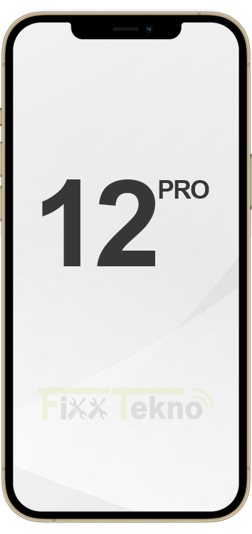 iPhone 12 Pro